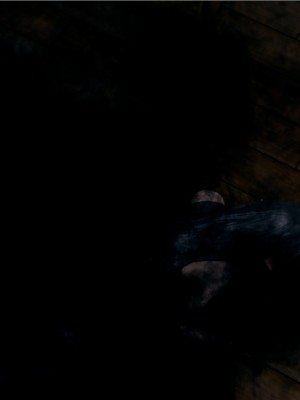 宠物捕捉大师1-16_07-023