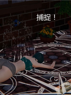 宠物捕捉大师1-16_02-068