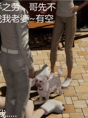 宠物捕捉大师1-16_01-101