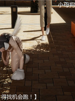 宠物捕捉大师1-16_01-102