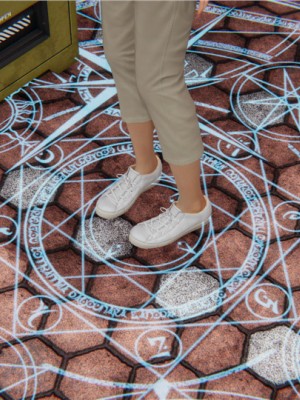 宠物捕捉大师1-16_05-147