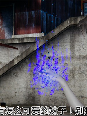 宠物捕捉大师1-16_05-172