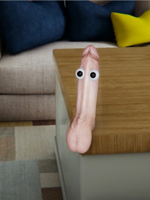 宠物捕捉大师1-16_14-004