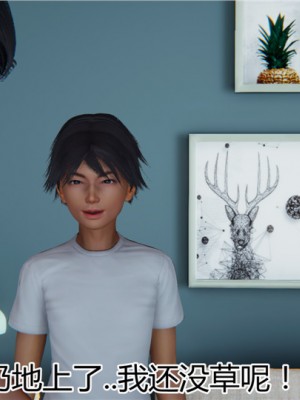 宠物捕捉大师1-16_13-054