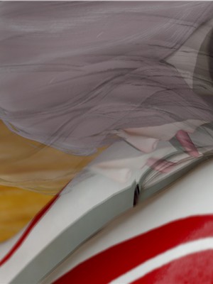 宠物捕捉大师1-16_10-058