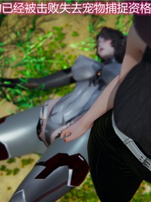 宠物捕捉大师1-16_15-041