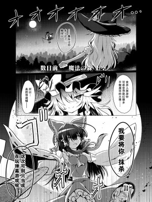 [星幻工房 (らんかせい)] 帰還不能限界点 The Point Of No Return 完全版 (東方Project)[主角组吧汉化组]_03