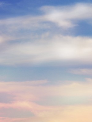 [STUDIOふあん (dikkosan)] 妊娠係 俺が孕ませた雁屋先輩の1ヵ月後～_271