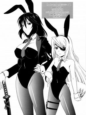 [漢化組漢化組] (C81) [CAZA MAYOR (つつみあかり)] is インセスト・ストラテジー2 (IS＜インフィニット・ストラトス＞)_22