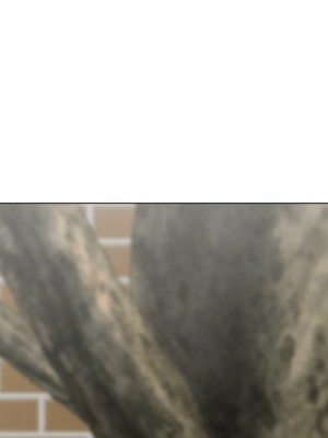 我家的女人們 1-41話 完_004_118