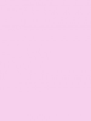 [TOHOORIN (竹取細工)] ナナのいたずら II [中国翻訳] [DL版]_02