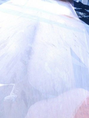 [衣一] 秘密 47_47133