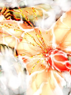 [田中罗密欧个人汉化][メランコル] 復讐催眠子宮姦_516_ssk2o13