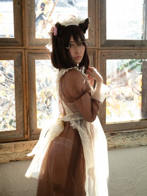 [Flameworks] Chiffon (FWCP058)_013