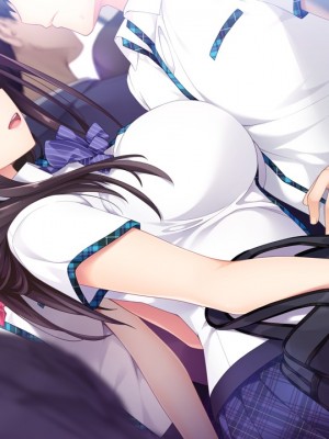 [hibiki works] 如月真綾の誘惑(おねえちゃんのゆうわく)_ev25i