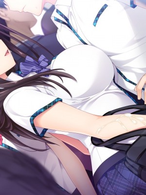 [hibiki works] 如月真綾の誘惑(おねえちゃんのゆうわく)_ev25l_l