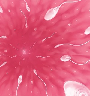 [Norn] 転生勇者と良妻魔王の子作りスローライフ_fec_a001