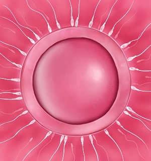 [Norn] 転生勇者と良妻魔王の子作りスローライフ_fec_a002