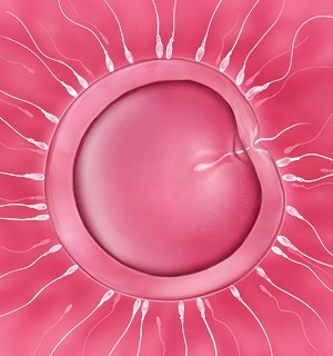 [Norn] 転生勇者と良妻魔王の子作りスローライフ_fec_a004