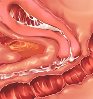[Norn] 転生勇者と良妻魔王の子作りスローライフ_scu001c