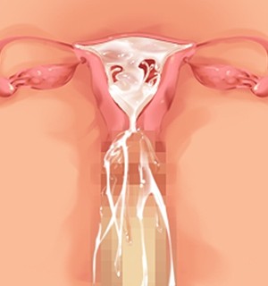 [Norn] 転生勇者と良妻魔王の子作りスローライフ_scu006e