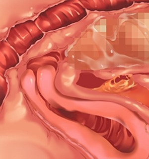 [Norn] 転生勇者と良妻魔王の子作りスローライフ_scu007a