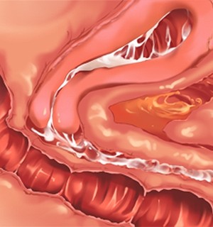 [Norn] 転生勇者と良妻魔王の子作りスローライフ_scu008c