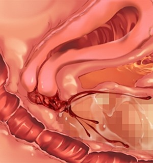 [Norn] 転生勇者と良妻魔王の子作りスローライフ_scu101a