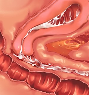 [Norn] 転生勇者と良妻魔王の子作りスローライフ_scu101c