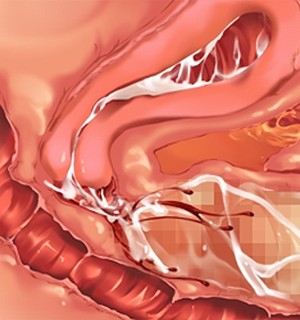 [Norn] 転生勇者と良妻魔王の子作りスローライフ_scu101d