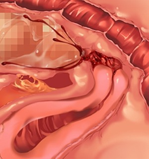 [Norn] 転生勇者と良妻魔王の子作りスローライフ_scu102a