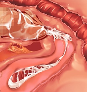 [Norn] 転生勇者と良妻魔王の子作りスローライフ_scu102e