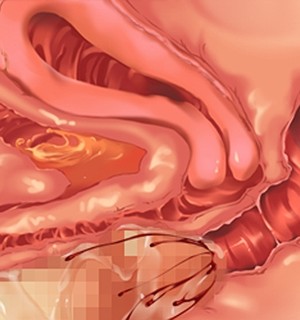 [Norn] 転生勇者と良妻魔王の子作りスローライフ_scu103a