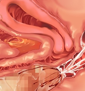 [Norn] 転生勇者と良妻魔王の子作りスローライフ_scu103b