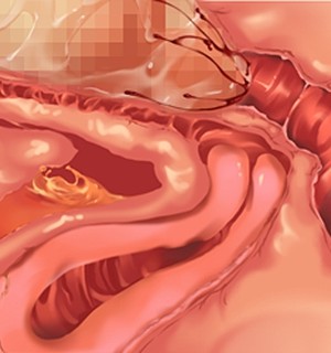 [Norn] 転生勇者と良妻魔王の子作りスローライフ_scu104a