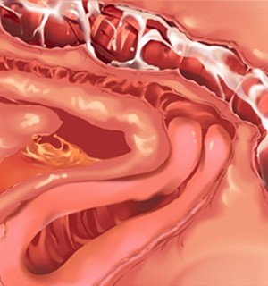 [Norn] 転生勇者と良妻魔王の子作りスローライフ_scu104c