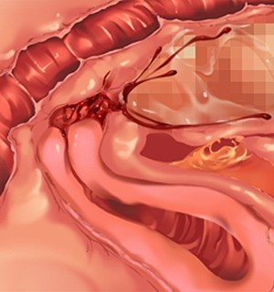 [Norn] 転生勇者と良妻魔王の子作りスローライフ_scu107a