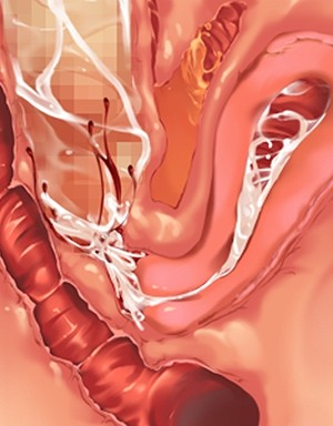 [Norn] 転生勇者と良妻魔王の子作りスローライフ_scu109e