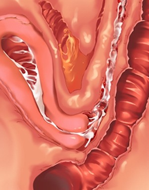 [Norn] 転生勇者と良妻魔王の子作りスローライフ_scu110c