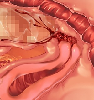 [Norn] 転生勇者と良妻魔王の子作りスローライフ_scu114a