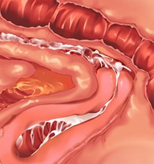 [Norn] 転生勇者と良妻魔王の子作りスローライフ_scu114c