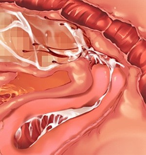 [Norn] 転生勇者と良妻魔王の子作りスローライフ_scu114d