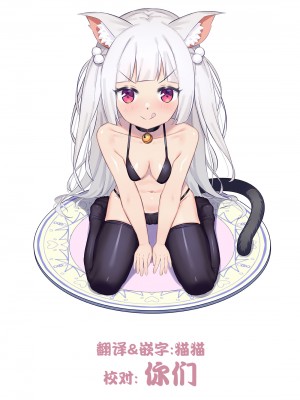 (C80) [Galaxist (BLADE)] 桃色酢豚 弐 pink subuta 2 (IS＜インフィニット・ストラトス＞) [猫猫个猫汉化]_23