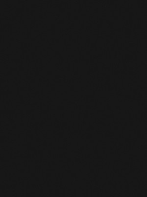 (C80) [Galaxist (BLADE)] 桃色酢豚 弐 pink subuta 2 (IS＜インフィニット・ストラトス＞) [猫猫个猫汉化]_03