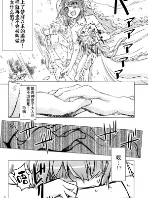 [白杨汉化组] (例大祭15) [GP-KIDS (高菜しんの)] 33 婚活早苗さん(33)純情派 (東方Project)_03