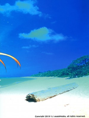 [angelphobia (ともみみしもん)] 二人だけの南の島でネロとイチャパコ♥2 (Fate╱Grand Order) [一只麻利的鸽子汉化] [DL版]_23