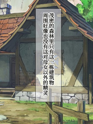 [ダメージ床R (あふろ)] エルフ母娘といちゃラブ子作り性活 [甜族星人x我不看本子个人汉化]_031