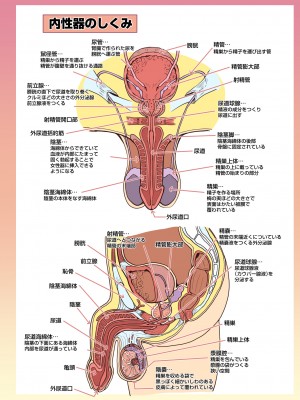 [人生横滑り。 (荒岸来歩)] メイドさんと学ぶおんなのこのからだ [DL版]_26