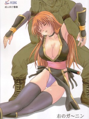 (C72) [サイクロン (和泉和也)] 右のガ～ニン (デッド・オア・アライヴ)【如月響子汉化组】_02