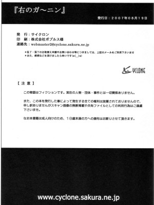 (C72) [サイクロン (和泉和也)] 右のガ～ニン (デッド・オア・アライヴ)【如月響子汉化组】_58